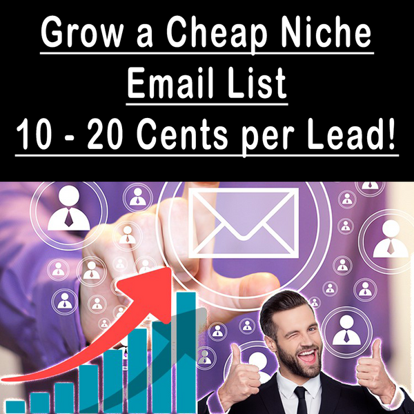 Grow a Cheap Niche Email List (10 - 20 Cents per Lead!)